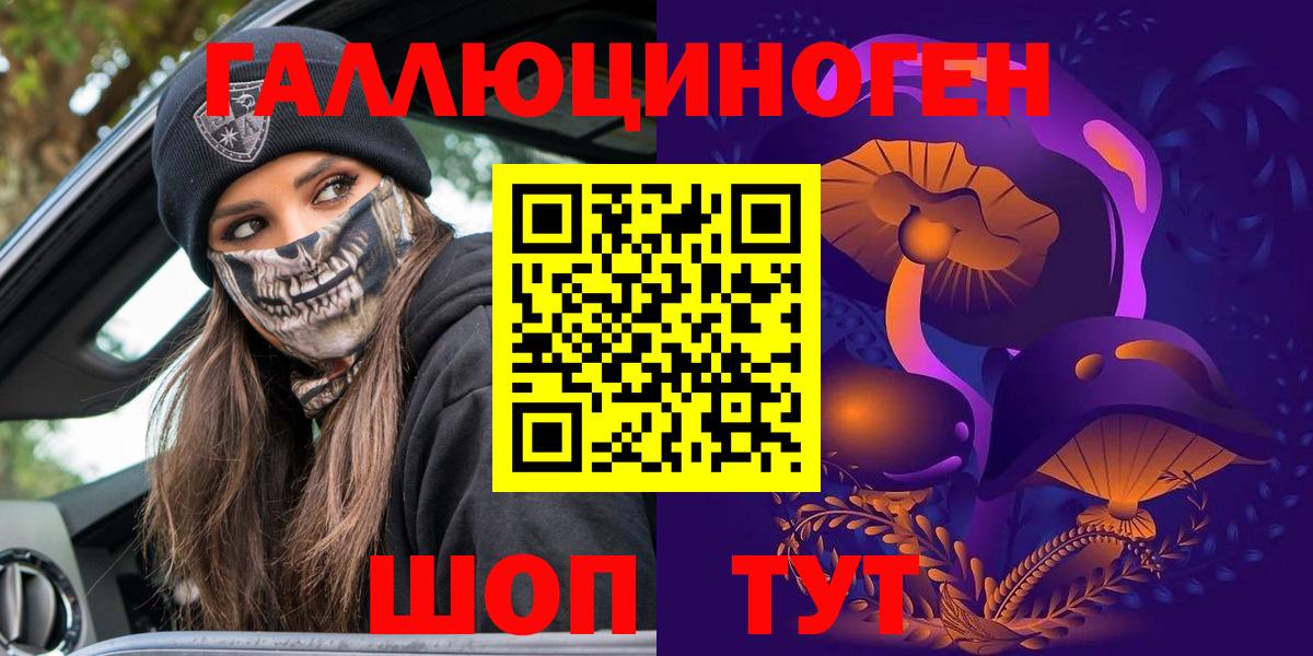 как найти   Галлюциногенные грибы GOLDEN TEACHER  Вход с VPN  Галлюциногенные грибы Psilocybe  Железногорск 