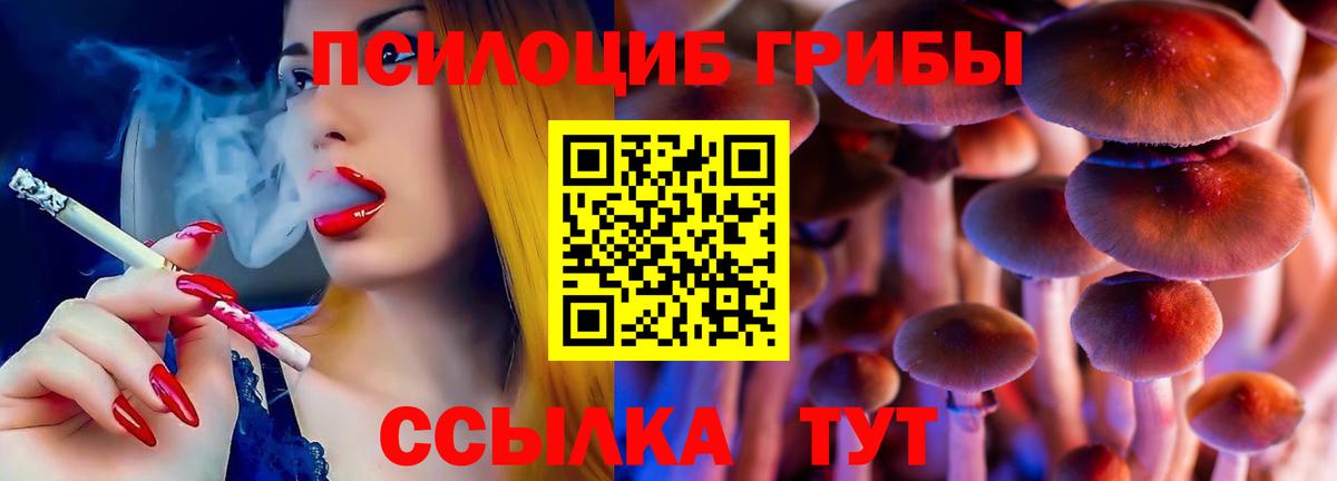 Галлюциногенные грибы прущие грибы Железногорск